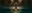 Awesome Legend of Zelda Compilation Awesome Legend of Zelda Compilation