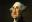 Happy Birthday George Washington: A Caricature look at some famous presidential faces Happy Birthday George Washington: A Caricature look at some famous presidential faces