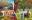 The Magical World of Jacek Yerka The Magical World of Jacek Yerka