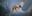 Amazing 3D Works by Martikanis Adam Amazing 3D Works by Martikanis Adam
