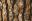 Tuesday Total Textures 145 Tuesday Total Textures 145