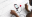 Mogees Play: A new way to make music and play games Mogees Play: A new way to make music and play games