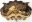 Splendid Wood Cutout Sculptures by Martin Tomsky Splendid Wood Cutout Sculptures by Martin Tomsky