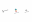 Logo Design: More Seahorses Logo Design: More Seahorses