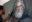 Photo Realistic Pastel Drawings Photo Realistic Pastel Drawings