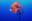 Wallpaper of the Week - Monterey Bay Aquarium Wallpaper of the Week - Monterey Bay Aquarium