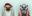 Adorable Zoo Portraits by Yago Partal Adorable Zoo Portraits by Yago Partal